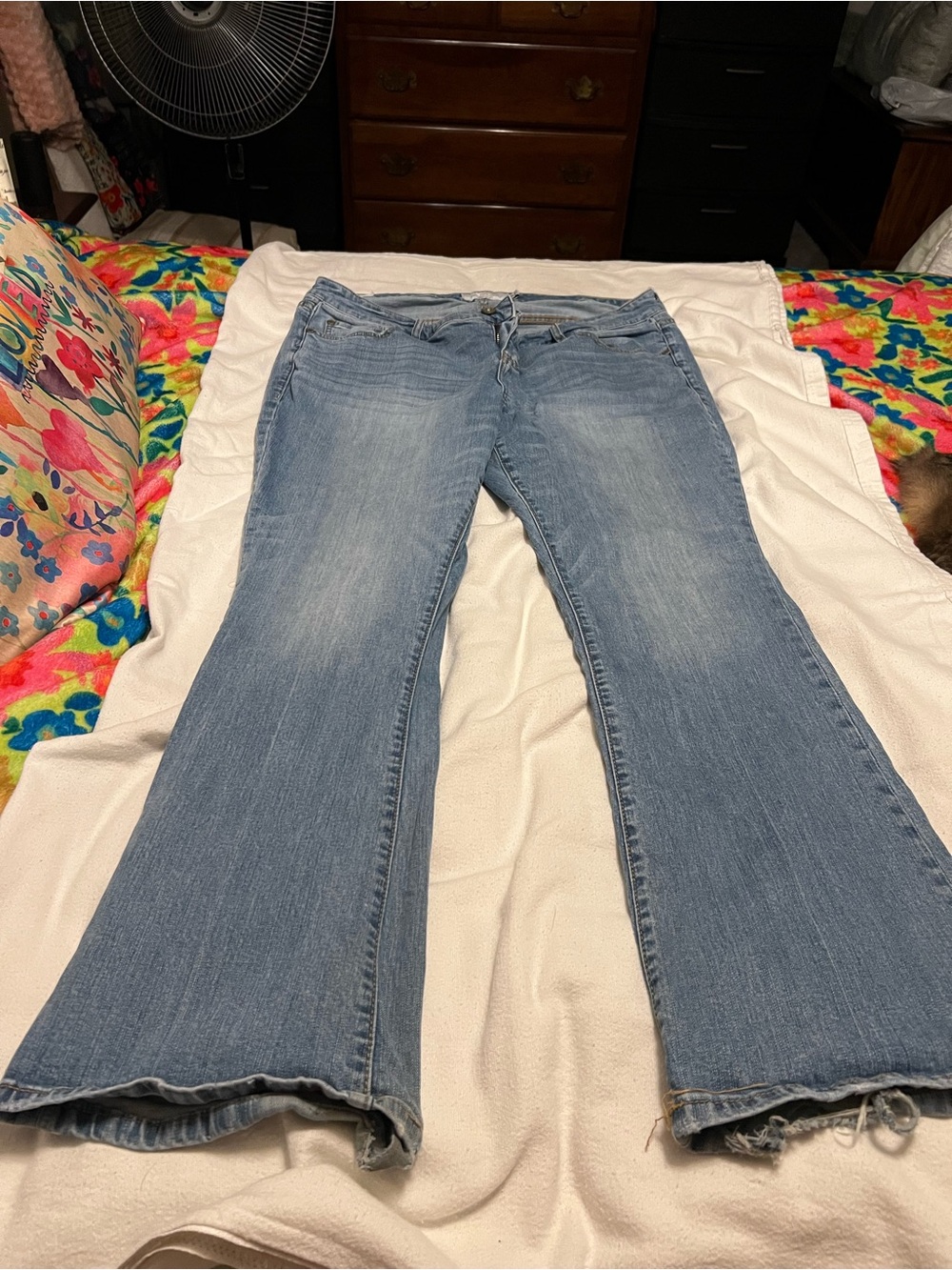 Classic Light Blue Women's Bootcut Jeans
